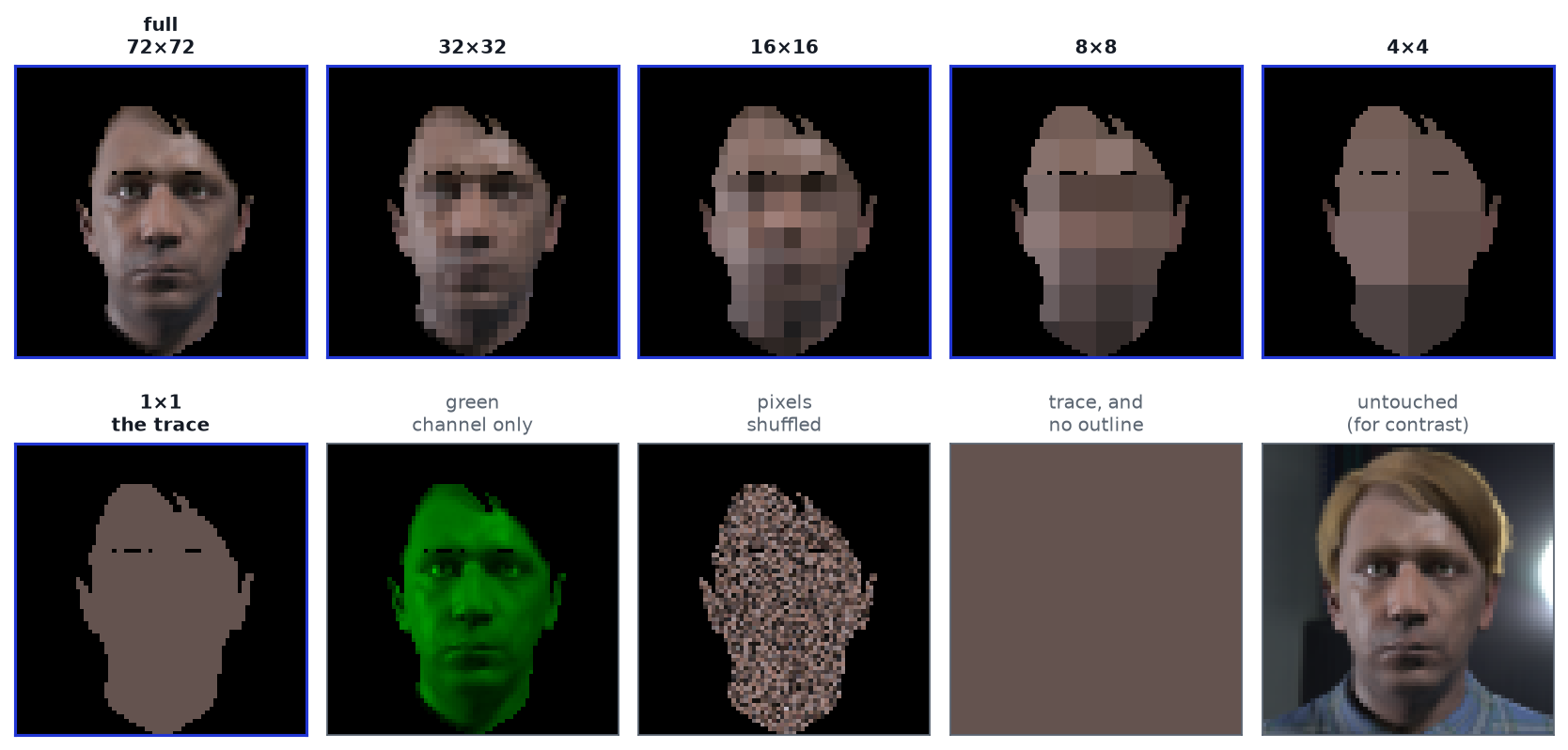 Ten panels of the same synthetic face. Top row, outlined in blue: the full 72 by 72 crop, then block averages at 32, 16, 8 and 4 squares across, each blockier than the last. Bottom row: a single flat colour in the shape of the face; the same face in green only; the face with its pixels randomly shuffled inside the skin outline; a completely flat brown square; and the original untouched frame including hair and background.