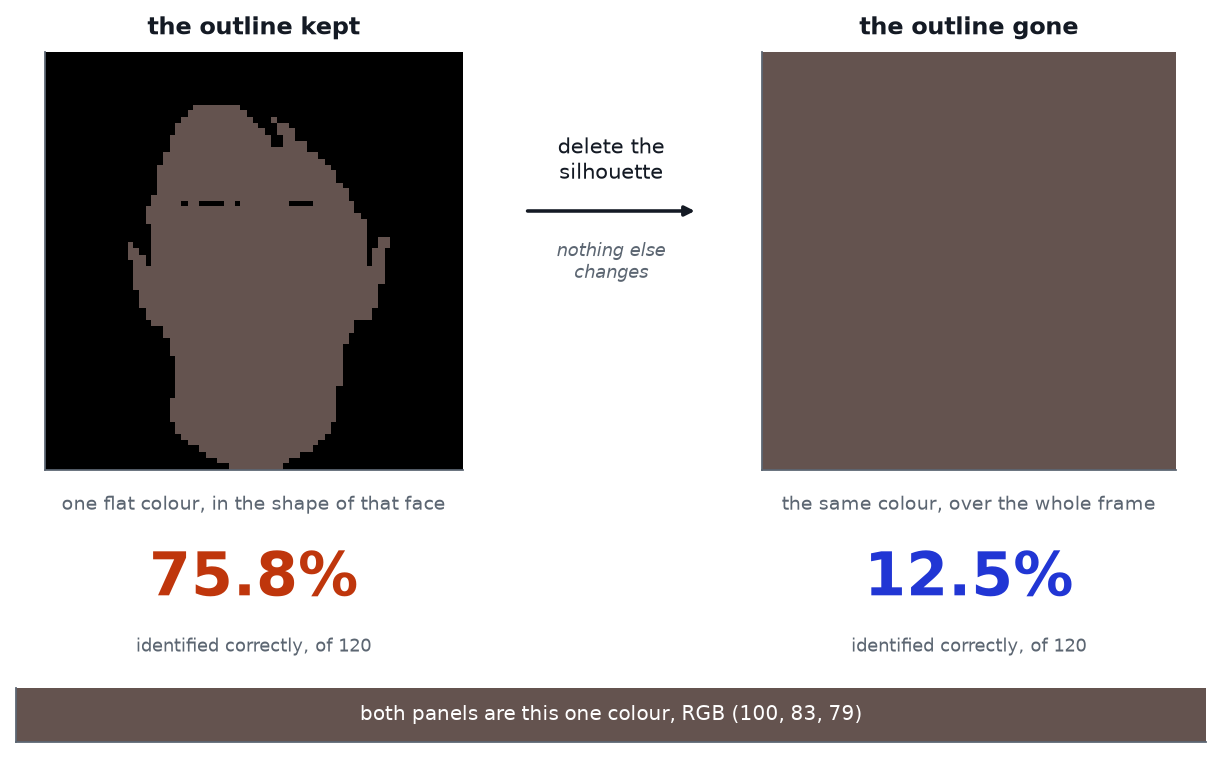 Two panels side by side. Left, labelled the outline kept: a single flat brown colour in the silhouette of a face, complete with gaps where the eyes and eyebrows are, on black; underneath it, 75.8 per cent identified correctly. Right, labelled the outline gone: the identical brown filling the entire square; underneath it, 12.5 per cent. An arrow between them reads delete the silhouette, nothing else changes.